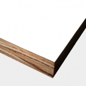 4X8-1/2" PRIMED MDO 1 SIDE      
*5 PLY