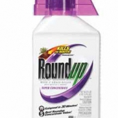 5100720 ROUND UP SPR CONC 35.2OZ
 REPLACE WITH SKU
9963547 WHEN OUT