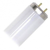 F40T12 CW DX  48IN
FLUORESCENT