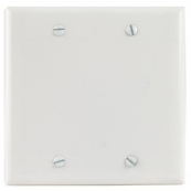2139W-BOX WHT SWITCH PLATE 2G