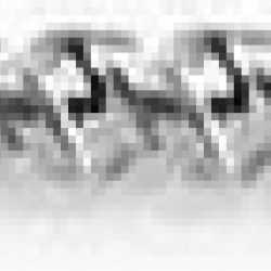 48203930 BIT SDS MAX 3/4 X 13IN 
NS