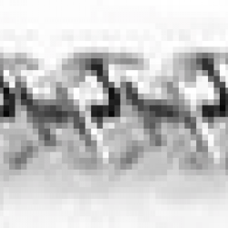 48203972 BIT SDS MAX 1-1/4X 23IN
NS