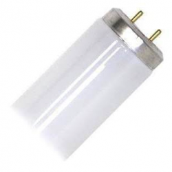 F40T12 CW DX  48IN
FLUORESCENT