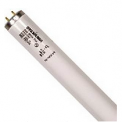 24472/24611 F40T12CWX 4FT FLUOR