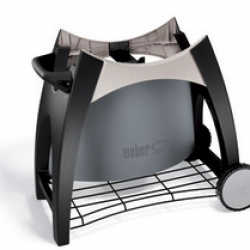 WEBER Q STATIONARY CART 

PLACE YOUR GRILL ON THIS
VERSATILE CART. INCLUDES A REAR
PANEL TO HIDE A 20 LB. LP TANK
(NOT INCLUDED), ADAPTER HOSE AND
A WIRE BOTTOM SHELF FOR STORING
TOOLS AND EQUIPMENT. FITS WEBER
Q, WEBER Q 200, WEBER Q 220 AND