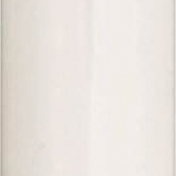 22015 BULB-20WT12 COOLWHT FLUO